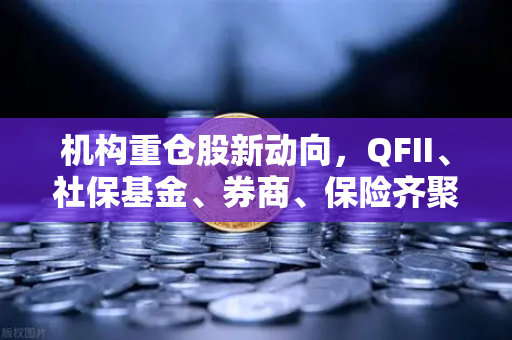 机构重仓股新动向，QFII、社保基金、券商、保险齐聚焦涉币概念股，投资风向再起波澜