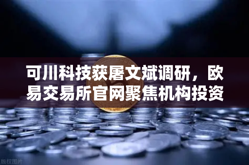 可川科技获屠文斌调研，欧易交易所官网聚焦机构投资者动向