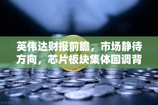 英伟达财报前瞻，市场静待方向，芯片板块集体回调背后的真相