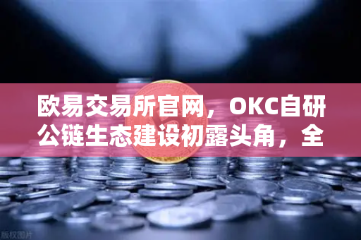 欧易交易所官网，OKC自研公链生态建设初露头角，全方位满足用户加密数字资产业务需求