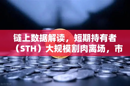 链上数据解读，短期持有者（STH）大规模割肉离场，市场底部信号显现？