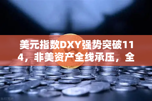 美元指数DXY强势突破114，非美资产全线承压，全球金融市场剧烈震荡