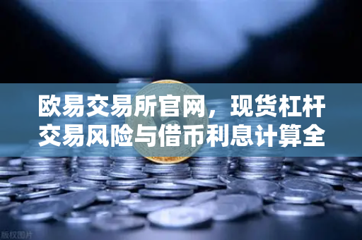 欧易交易所官网，现货杠杆交易风险与借币利息计算全解析