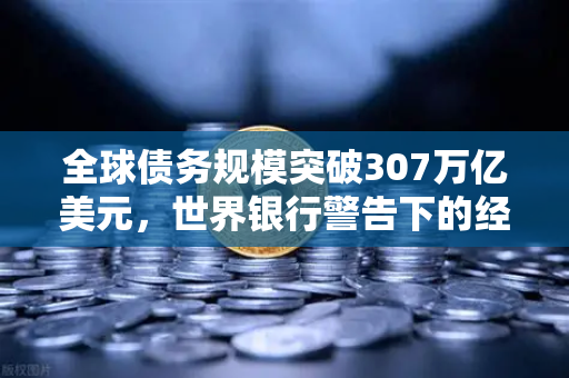 全球债务规模突破307万亿美元，世界银行警告下的经济迷局与投资新逻辑
