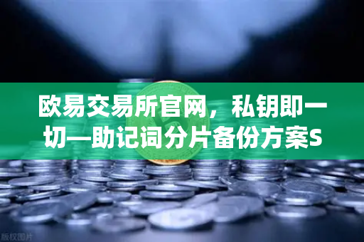 欧易交易所官网,私钥即一切—助记词分片备份方案Shamirs Secret Sharing深度解析-第1张图片-欧易交易所 欧易交易所官网,私钥即一切—助记词分片备份方案Shamirs Secret Sharing深度解析-第1张图片-欧易交易所