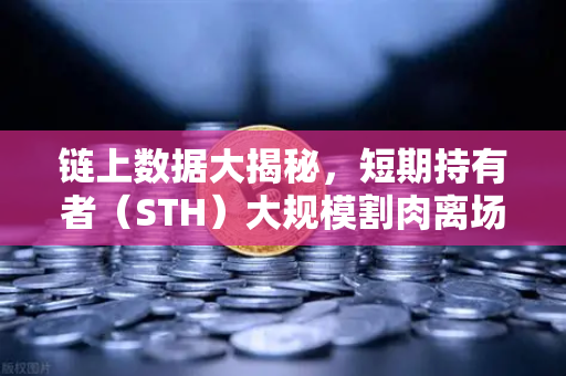 链上数据大揭秘，短期持有者（STH）大规模割肉离场，市场见底信号还是风暴前夜？