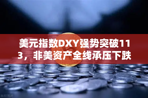 美元指数DXY强势突破113，非美资产全线承压下跌，投资者如何应对市场变局？