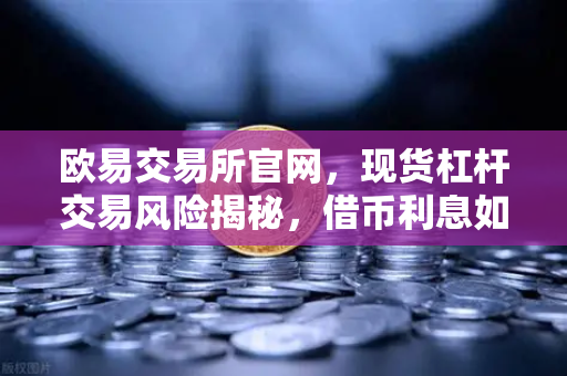 欧易交易所官网，现货杠杆交易风险揭秘，借币利息如何计算？-第1张图片-欧易交易所