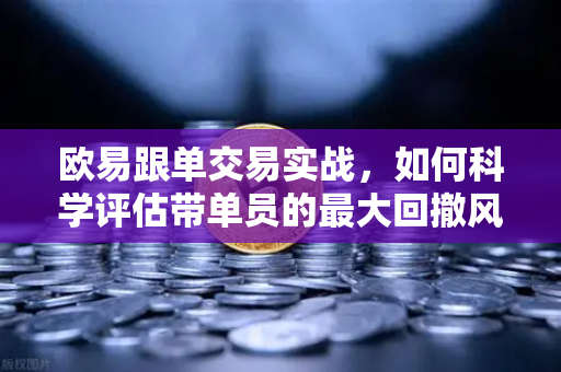 欧易跟单交易实战，如何科学评估带单员的最大回撤风险？