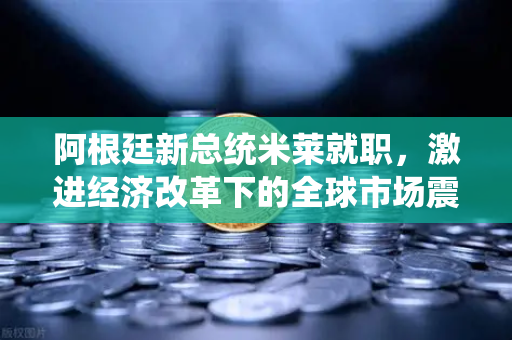 阿根廷新总统米莱就职，激进经济改革下的全球市场震荡与投资者机遇