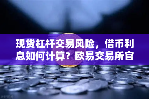 现货杠杆交易风险，借币利息如何计算？欧易交易所官网深度解析