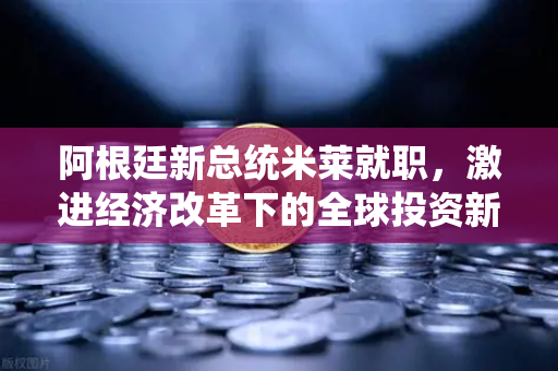 阿根廷新总统米莱就职，激进经济改革下的全球投资新机遇