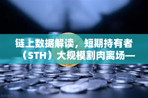 链上数据解读，短期持有者（STH）大规模割肉离场—市场底部信号已现？