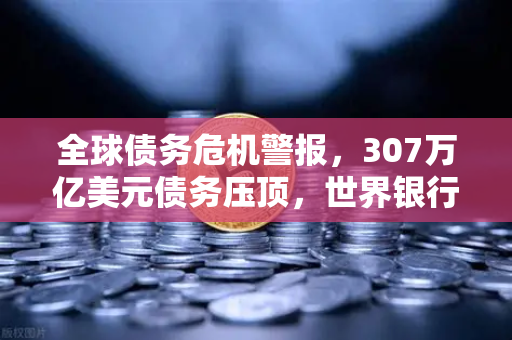全球债务危机警报，307万亿美元债务压顶，世界银行发出严正警告