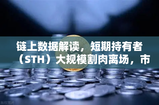 链上数据解读，短期持有者（STH）大规模割肉离场，市场底部信号是否已现？