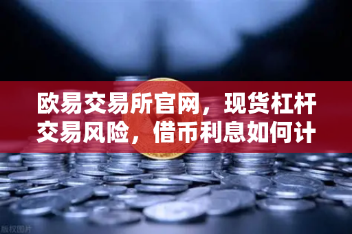 欧易交易所官网，现货杠杆交易风险，借币利息如何计算？全面解析与问答