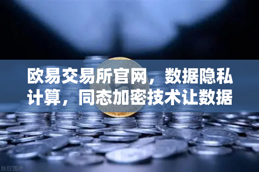 欧易交易所官网，数据隐私计算，同态加密技术让数据可用不可见