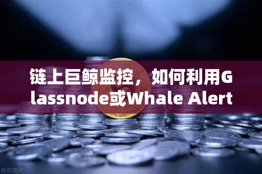 链上巨鲸监控，如何利用Glassnode或Whale Alert辅助交易决策