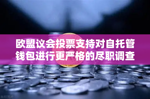 欧盟议会投票支持对自托管钱包进行更严格的尽职调查，加密监管新篇章