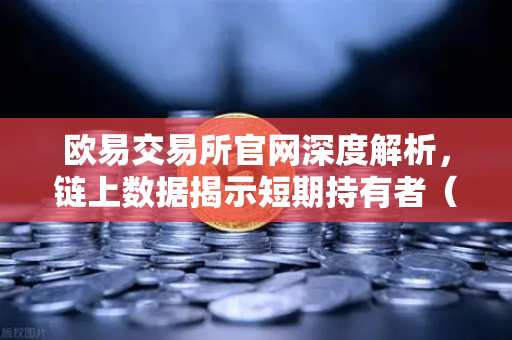 欧易交易所官网深度解析，链上数据揭示短期持有者（STH）大规模割肉离场，市场底部信号显现？