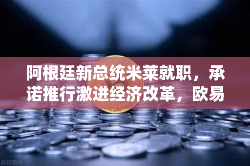 阿根廷新总统米莱就职，承诺推行激进经济改革，欧易交易所官网解读全球市场新动向