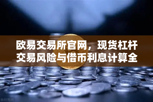 欧易交易所官网，现货杠杆交易风险与借币利息计算全解析
