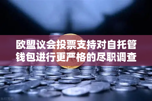 欧盟议会投票支持对自托管钱包进行更严格的尽职调查，加密合规新时代来临