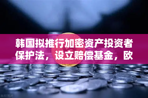韩国拟推行加密资产投资者保护法，设立赔偿基金，欧易交易所官网深度解析