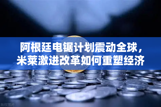 阿根廷电锯计划震动全球，米莱激进改革如何重塑经济格局？
