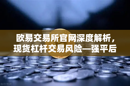 欧易交易所官网深度解析，现货杠杆交易风险—强平后你的资产会发生什么？