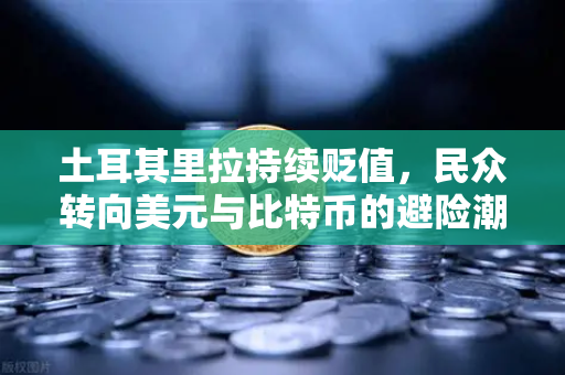 土耳其里拉持续贬值，民众转向美元与比特币的避险潮