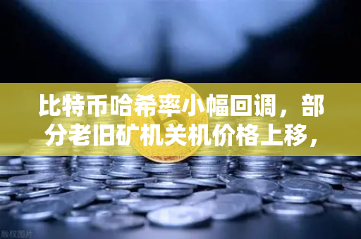 比特币哈希率小幅回调，部分老旧矿机关机价格上移，矿工如何应对市场变局？
