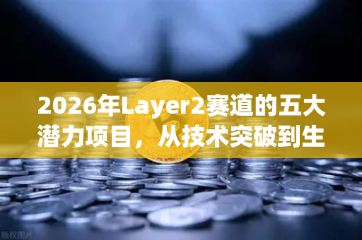 2026年Layer2赛道的五大潜力项目，从技术突破到生态应用全景解析