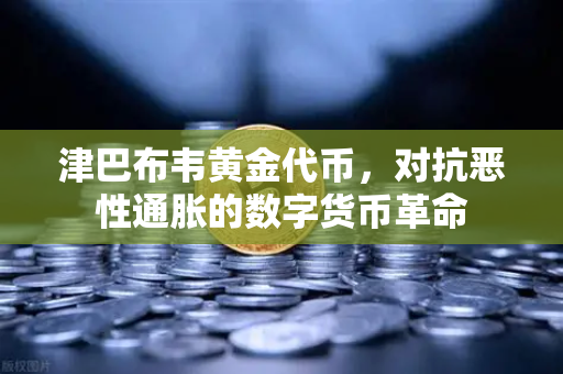 津巴布韦黄金代币，对抗恶性通胀的数字货币革命