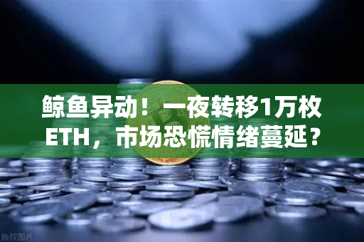 鲸鱼异动！一夜转移1万枚ETH，市场恐慌情绪蔓延？深度解读交易量异常预警信号