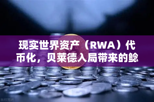 现实世界资产（RWA）代币化，贝莱德入局带来的鲶鱼效应