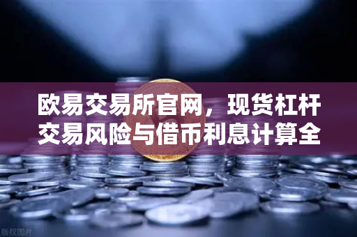 欧易交易所官网，现货杠杆交易风险与借币利息计算全解析-第1张图片-欧易交易所