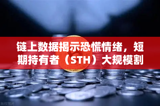 链上数据揭示恐慌情绪，短期持有者（STH）大规模割肉离场，市场底部信号浮现？-第1张图片-欧易交易所