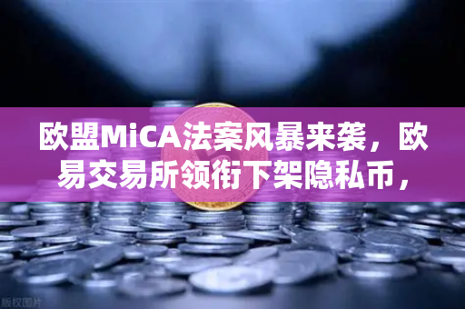 欧盟MiCA法案风暴来袭,欧易交易所领衔下架隐私币,合规成行业新生存法则-第1张图片-欧易交易所 欧盟MiCA法案风暴来袭,欧易交易所领衔下架隐私币,合规成行业新生存法则-第1张图片-欧易交易所