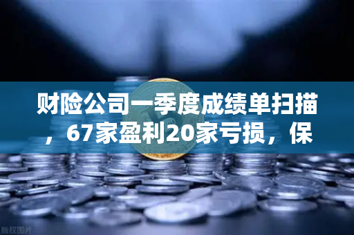 财险公司一季度成绩单扫描，67家盈利20家亏损，保险资金入市偏好深度解析