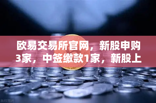 欧易交易所官网，新股申购3家，中签缴款1家，新股上市1家，投资机会全解析-第1张图片-欧易交易所