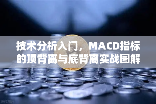 技术分析入门，MACD指标的顶背离与底背离实战图解