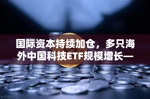 国际资本持续加仓，多只海外中国科技ETF规模增长—欧易交易所官网深度解析-第1张图片-欧易交易所