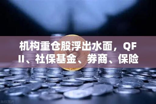 机构重仓股浮出水面,QFII、社保基金、券商、保险最新持仓曝光,涉币概念股成亮点-第1张图片-欧易交易所 机构重仓股浮出水面,QFII、社保基金、券商、保险最新持仓曝光,涉币概念股成亮点-第1张图片-欧易交易所
