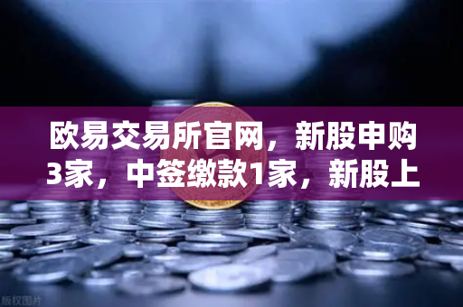 欧易交易所官网，新股申购3家，中签缴款1家，新股上市1家操作指南
