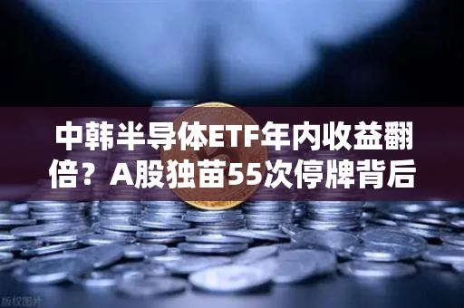 中韩半导体ETF年内收益翻倍?A股独苗55次停牌背后,欧易交易所用户如何把握机会-第1张图片-欧易交易所 中韩半导体ETF年内收益翻倍?A股独苗55次停牌背后,欧易交易所用户如何把握机会-第1张图片-欧易交易所
