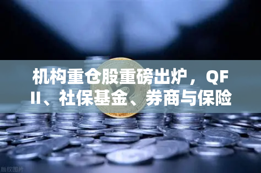 机构重仓股重磅出炉,QFII、社保基金、券商与保险悄然布局涉币概念股-第1张图片-欧易交易所 机构重仓股重磅出炉,QFII、社保基金、券商与保险悄然布局涉币概念股-第1张图片-欧易交易所
