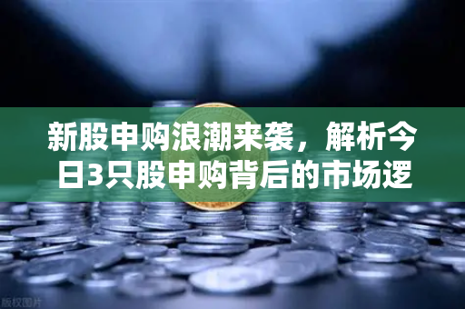 新股申购浪潮来袭,解析今日3只股申购背后的市场逻辑与制冰机龙头的资本机遇-第1张图片-欧易交易所 新股申购浪潮来袭,解析今日3只股申购背后的市场逻辑与制冰机龙头的资本机遇-第1张图片-欧易交易所
