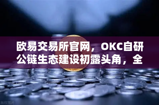 欧易交易所官网,OKC自研公链生态建设初露头角,全面满足用户多种加密数字资产业务需求-第1张图片-欧易交易所 欧易交易所官网,OKC自研公链生态建设初露头角,全面满足用户多种加密数字资产业务需求-第1张图片-欧易交易所