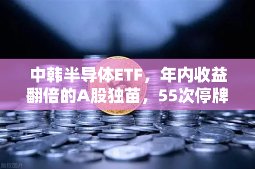 中韩半导体ETF，年内收益翻倍的A股独苗，55次停牌背后的博弈与真相-第1张图片-欧易交易所